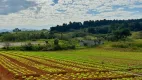 Foto 6 de Lote/Terreno à venda, 600m² em Cachoeira, Ibiúna