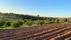 Foto 31 de Fazenda/Sítio com 3 Quartos à venda, 10m² em Macuco, Valinhos