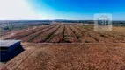 Foto 5 de Fazenda/Sítio à venda, 61483600m² em Zona Rural, Mara Rosa