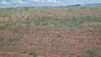 Foto 2 de Fazenda/Sítio à venda, 11000m² em Zona Rural, Buritis