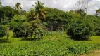 Foto 29 de Fazenda/Sítio com 5 Quartos à venda, 157m² em Itamaraca, Ilha de Itamaracá