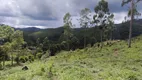 Foto 4 de Lote/Terreno à venda, 36000m² em Zona Rural, Delfim Moreira