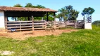 Foto 20 de Fazenda/Sítio com 7 Quartos à venda, 60000m² em Centro, Monte Mor