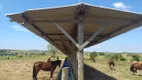 Foto 10 de Fazenda/Sítio com 4 Quartos à venda, 435600m² em Zona Rural, Cássia dos Coqueiros