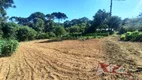 Foto 13 de Fazenda/Sítio com 3 Quartos à venda, 9000m² em Campestre da Faxina, São José dos Pinhais