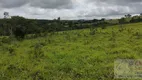 Foto 10 de Fazenda/Sítio com 3 Quartos à venda, 18m² em Zona Rural, Cocalzinho de Goiás