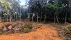 Foto 8 de Fazenda/Sítio com 1 Quarto à venda, 5000m² em Campestre da Faxina, São José dos Pinhais