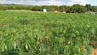 Foto 16 de Fazenda/Sítio com 3 Quartos à venda, 50000m² em Brazlândia, Brasília