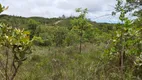 Foto 3 de Fazenda/Sítio à venda, 20000m² em Zona Rural, Corumbá de Goiás