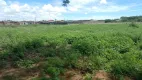Foto 6 de Lote/Terreno à venda, 29000m² em Centro, Nísia Floresta