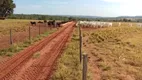 Foto 20 de Fazenda/Sítio com 4 Quartos à venda, 5000m² em Tabajaras, Uberlândia