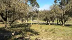 Foto 17 de Lote/Terreno à venda, 20000m² em Aguas Brancas, Urubici