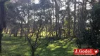 Foto 49 de Fazenda/Sítio com 3 Quartos à venda, 300m² em Area Rural de Sao Jose dos Pinhais, São José dos Pinhais