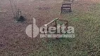 Foto 18 de Fazenda/Sítio com 3 Quartos à venda, 190m² em Area Rural de Uberlandia, Uberlândia