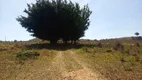 Foto 35 de Fazenda/Sítio com 5 Quartos à venda, 125000m² em Nova Colina, Brasília