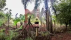 Foto 11 de Fazenda/Sítio com 3 Quartos à venda, 24200m² em Jardim Sao Domingos, Maringá