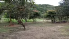 Foto 3 de Fazenda/Sítio à venda, 48000m² em Cezar de Souza, Mogi das Cruzes