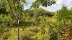 Foto 7 de Fazenda/Sítio à venda, 66000m² em Zona Rural, Alto Paraíso de Goiás