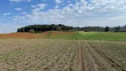 Foto 19 de Fazenda/Sítio à venda, 13000m² em Campo Novo, Campo Magro