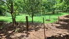 Foto 7 de Fazenda/Sítio com 3 Quartos à venda, 124388m² em Zona Rural, Indiara