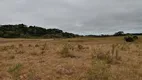 Foto 8 de Lote/Terreno à venda, 750000m² em Centro, Caxias do Sul