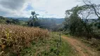 Foto 19 de Fazenda/Sítio com 3 Quartos à venda, 200000m² em Centro, Anitápolis