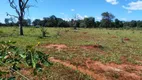 Foto 3 de Fazenda/Sítio à venda, 30000m² em Cidade Jardim, Uberlândia