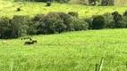 Foto 10 de Fazenda/Sítio com 4 Quartos à venda, 1000000m² em Zona Rural, Paraisópolis