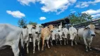 Foto 20 de Fazenda/Sítio com 2 Quartos à venda, 1000m² em Fazendinha, Araruama