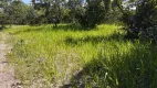 Foto 6 de Fazenda/Sítio à venda, 409000m² em Zona Rural, Goiás