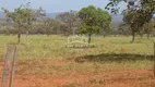 Foto 26 de Fazenda/Sítio à venda em Centro, Engenheiro Navarro