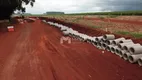 Foto 5 de Lote/Terreno à venda, 300m² em Recanto Tropical, Cascavel