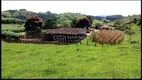 Foto 9 de Fazenda/Sítio com 3 Quartos à venda, 1m² em , Silveiras