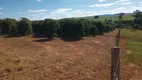 Foto 6 de Fazenda/Sítio com 4 Quartos à venda, 128260m² em Zona Rural, Monte Santo de Minas