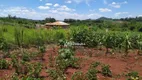 Foto 7 de Fazenda/Sítio com 1 Quarto à venda, 1000m² em Zona Rural, Londrina