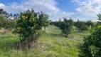 Foto 23 de Lote/Terreno à venda, 100000m² em Vale dos Vinhedos, Bento Gonçalves