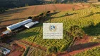 Foto 21 de Fazenda/Sítio com 11 Quartos à venda, 1204100m² em Zona Rural, Cordislândia