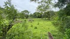 Foto 46 de Fazenda/Sítio com 2 Quartos à venda, 80m² em , Pedro de Toledo