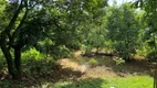 Foto 30 de Fazenda/Sítio com 3 Quartos à venda, 200m² em Jardim Novo Mundo, Goiânia