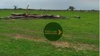 Foto 23 de Fazenda/Sítio à venda, 14616800m² em Zona Rural, Araguaiana