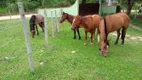 Foto 4 de Fazenda/Sítio com 3 Quartos à venda, 75000m² em Peróbas, Itaboraí