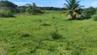 Foto 2 de Fazenda/Sítio com 2 Quartos à venda, 106m² em Zona Rural, Monte Alegre