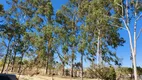 Foto 2 de Fazenda/Sítio com 3 Quartos à venda, 220m² em Área Rural de Cocalzinho Goiás, Cocalzinho de Goiás