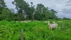 Foto 2 de Fazenda/Sítio à venda, 3020000m² em Zona Rural, Riachinho