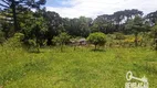 Foto 5 de Fazenda/Sítio com 2 Quartos à venda, 24200m² em Roça Velha, São José dos Pinhais