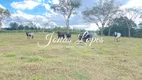 Foto 26 de Fazenda/Sítio com 3 Quartos à venda, 2000m² em Distrito Sumare Sumare, Paranavaí