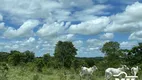 Foto 11 de Fazenda/Sítio à venda em Zona Rural, Araguapaz