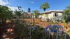 Foto 23 de Fazenda/Sítio com 4 Quartos à venda, 1000m² em Centro, Paranapanema