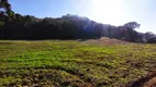 Foto 23 de Fazenda/Sítio à venda, 22000m² em Centro, Campo Magro