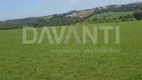 Foto 4 de Lote/Terreno à venda, 87000m² em Centro, Holambra